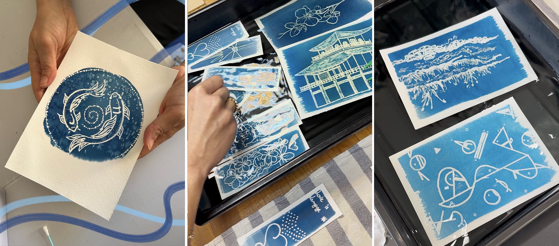 Atelier cyanotype et illustration