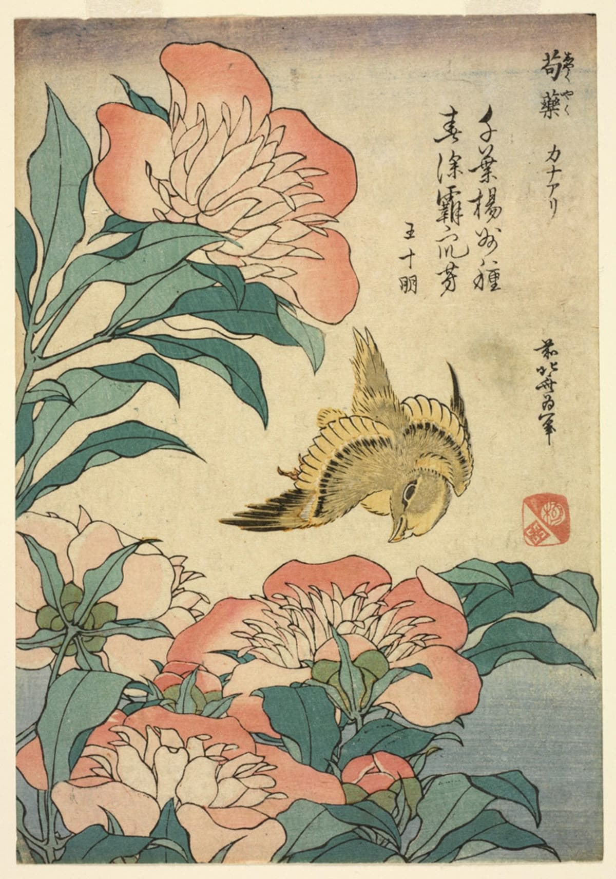 Peinture guidée : Hokusai - Pivoines et oiseau